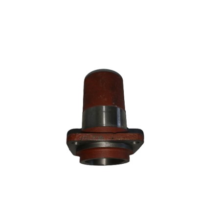 Butuc coasa